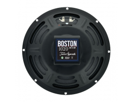 The back of the 10" alnico guitar speaker from ToneSpeak -- model Boston 1020.