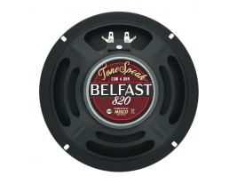 The back of an 8 inch guitar speaker from ToneSpeak--model Belfast 820.